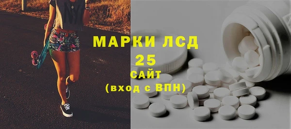 ПСИЛОЦИБИНОВЫЕ ГРИБЫ Баксан