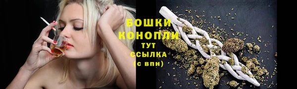 ПСИЛОЦИБИНОВЫЕ ГРИБЫ Баксан