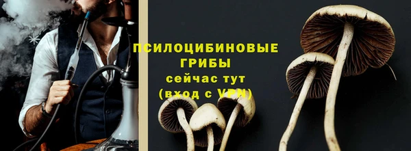 ПСИЛОЦИБИНОВЫЕ ГРИБЫ Балахна