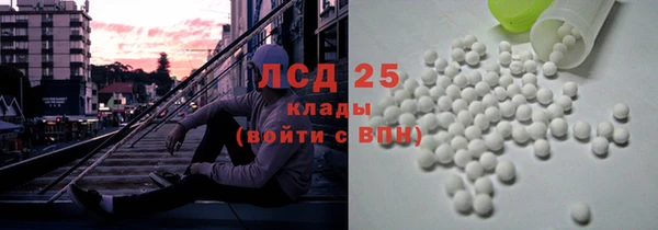 ПСИЛОЦИБИНОВЫЕ ГРИБЫ Баксан