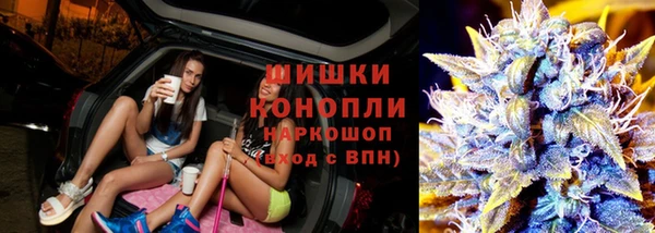 ПСИЛОЦИБИНОВЫЕ ГРИБЫ Баксан