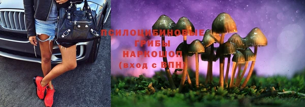 ПСИЛОЦИБИНОВЫЕ ГРИБЫ Баксан