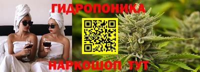 меф Вышний Волочёк