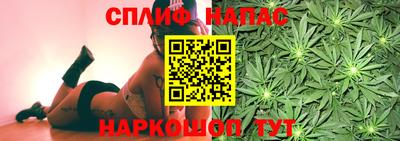 spice Вязьма