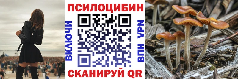 hydra онион  цена наркотик  Белово  маркетплейс официальный сайт  Псилоцибиновые грибы Psilocybine cubensis 
